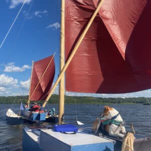 UK Minneapolis Tanbark Sails